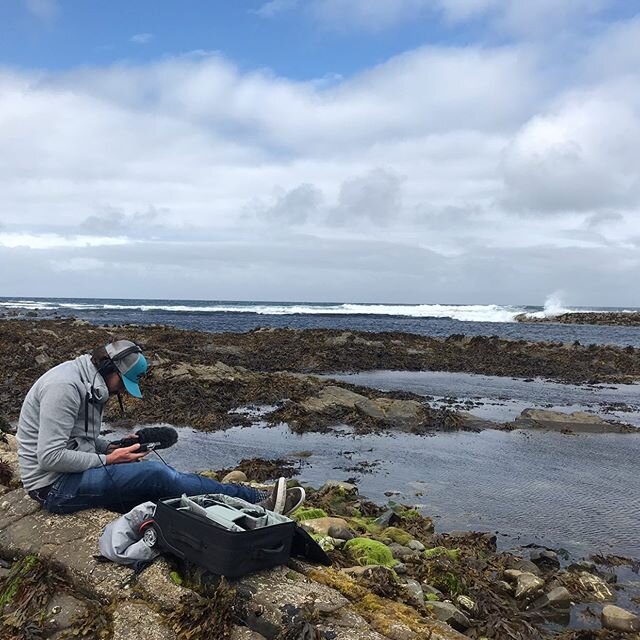 Perhaps an exaggeration to say we risked life &amp; limb for the client but after capturing the opening drone shot for The Chosen film in high winds with the drone at the limits of its capability we then braved the incoming tide to record audio of th