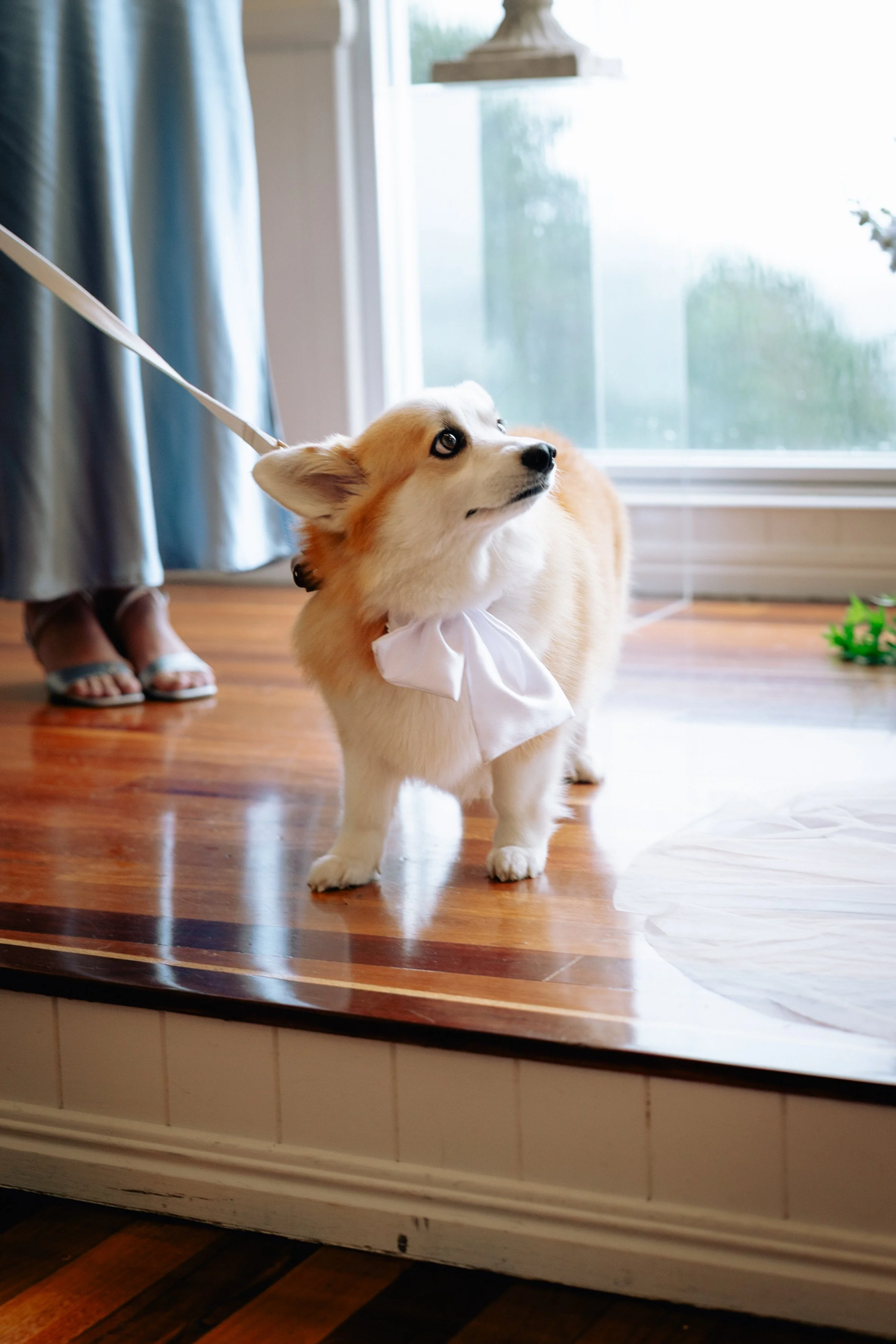 Toki Michael Wedding-129.jpg
