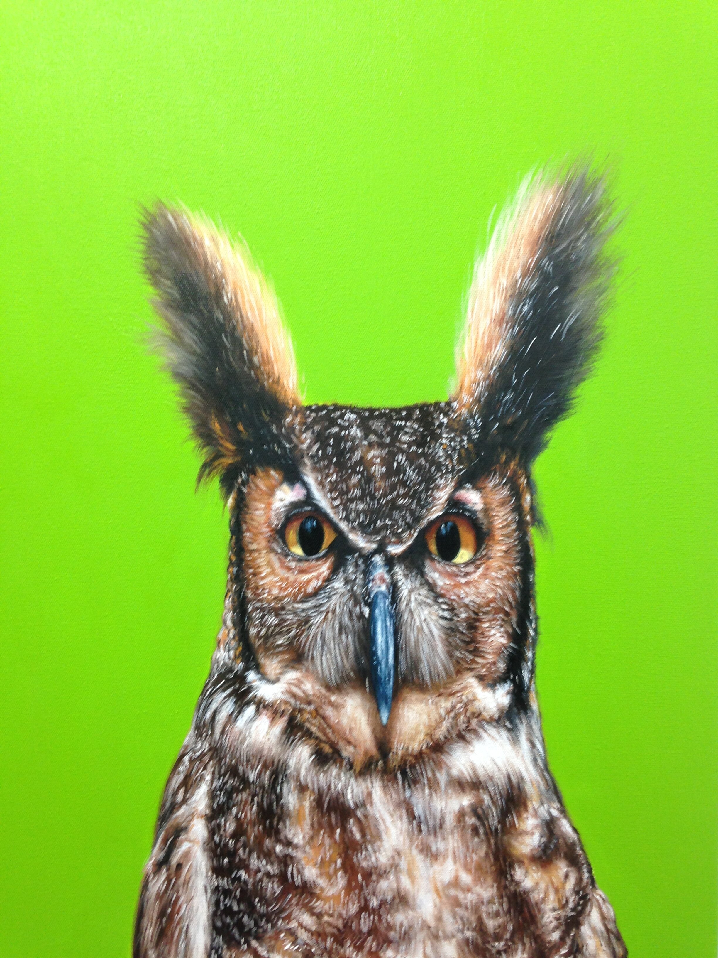 Green Owl, oil on canvas, 20" x 16", 2015