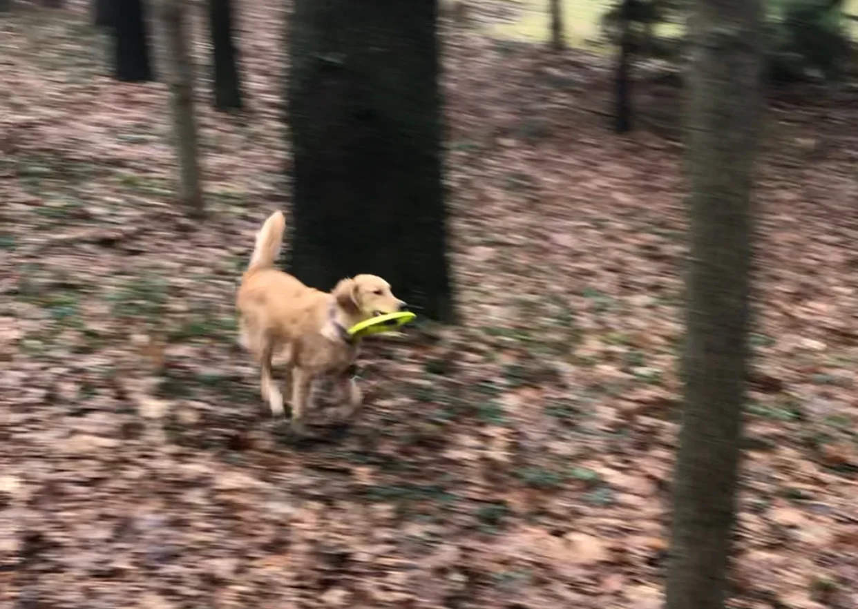 So proud of her return!