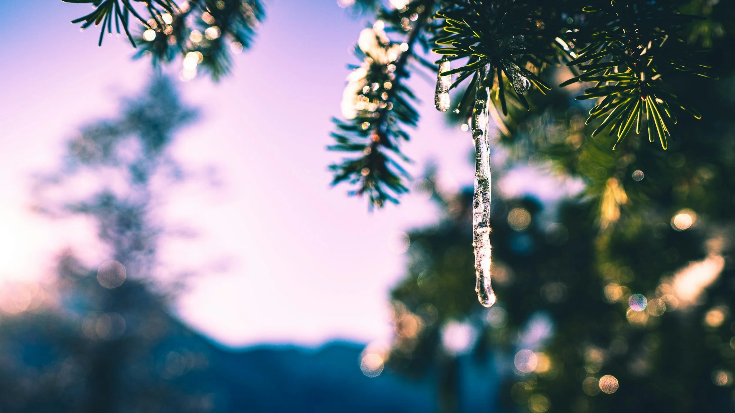 unsplash-image-PR8w5XwSd9k.jpg