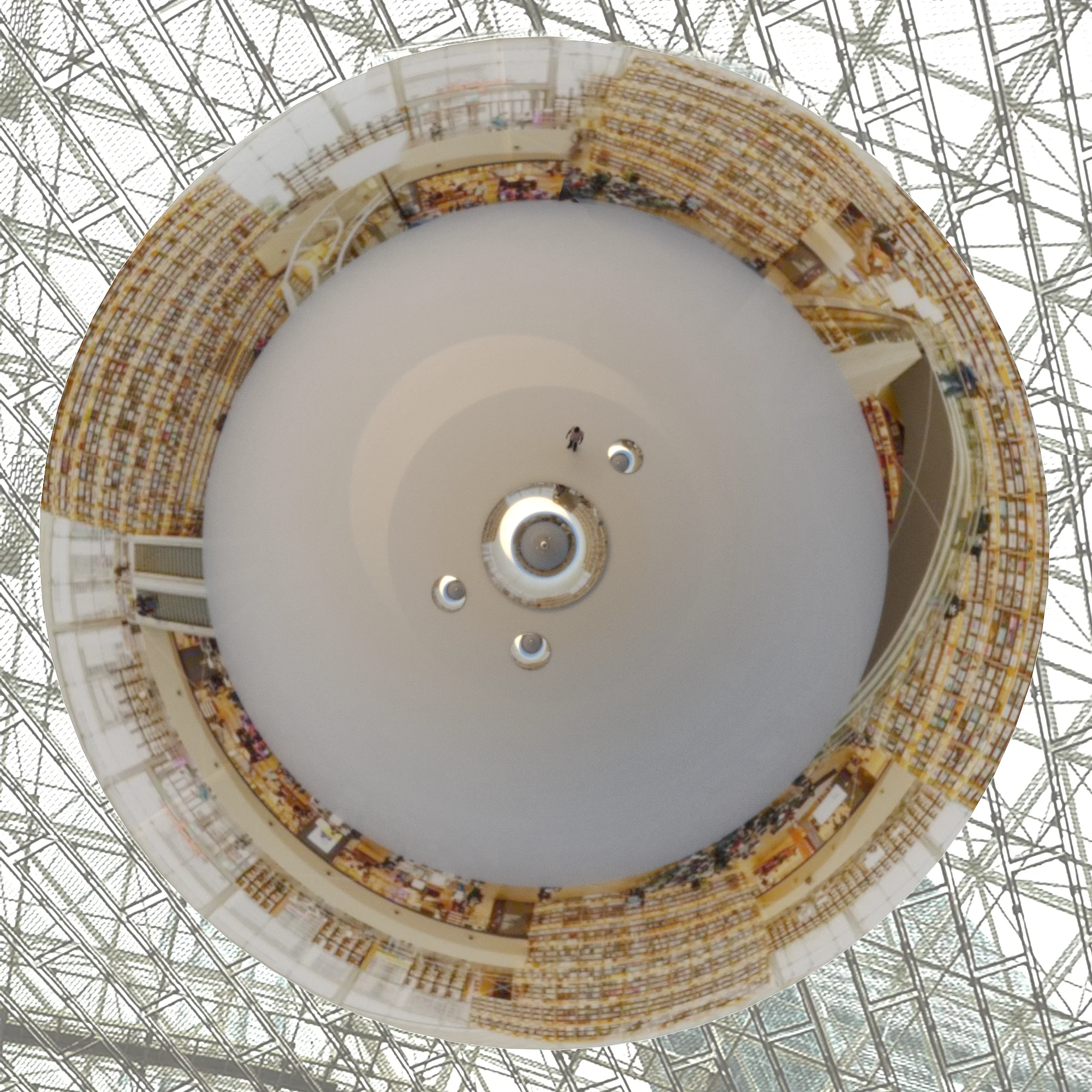 20190406 BMD LOOKINGUP.jpg