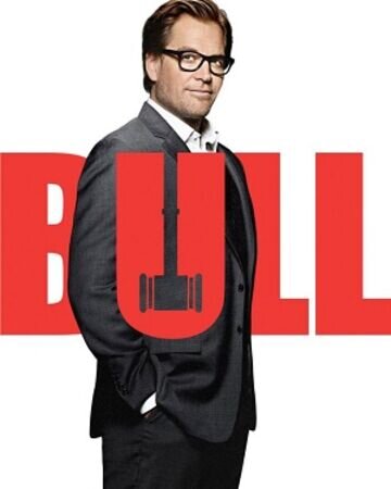 Bull_poster.jpeg