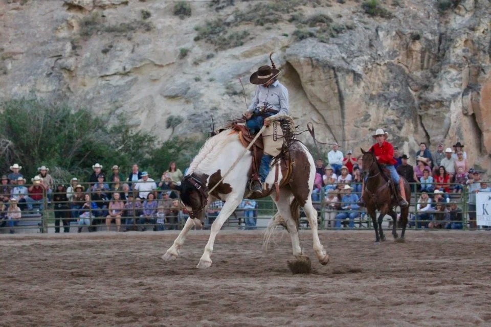 rodeo1.jpeg