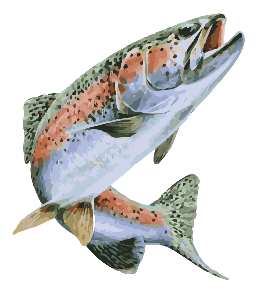 trout.png