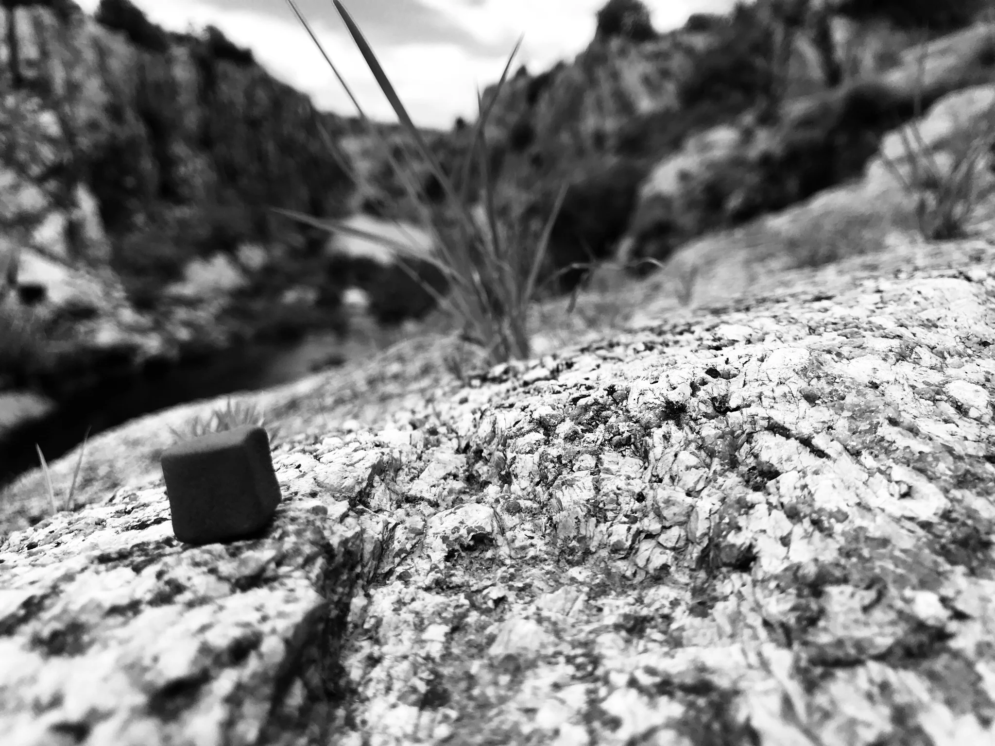 IMG_6066.jpeg