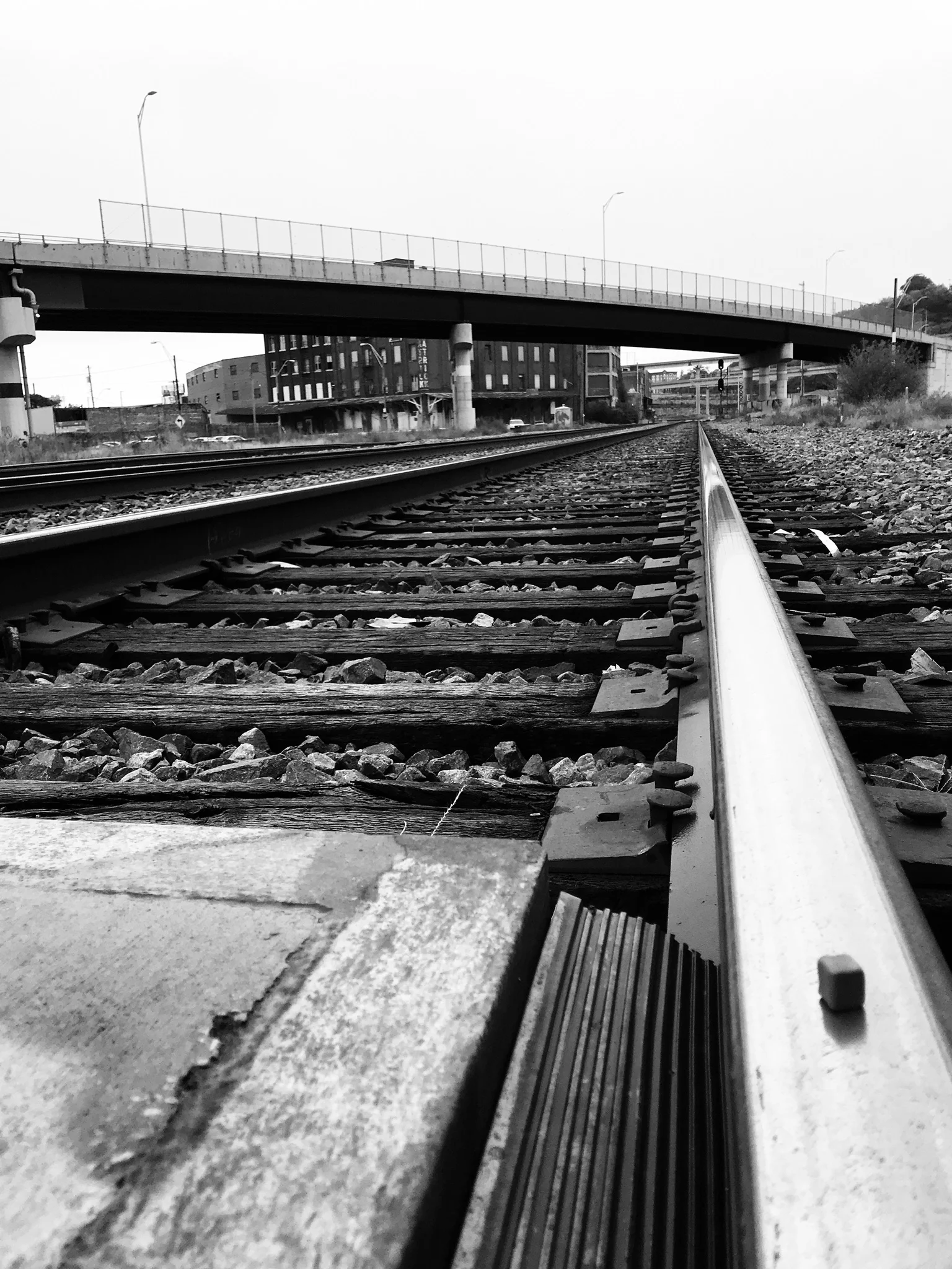 railing.jpeg