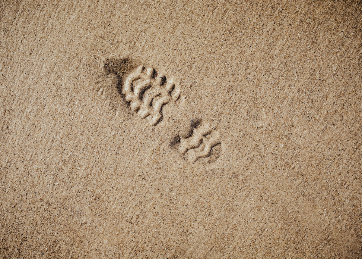 bootprint.png