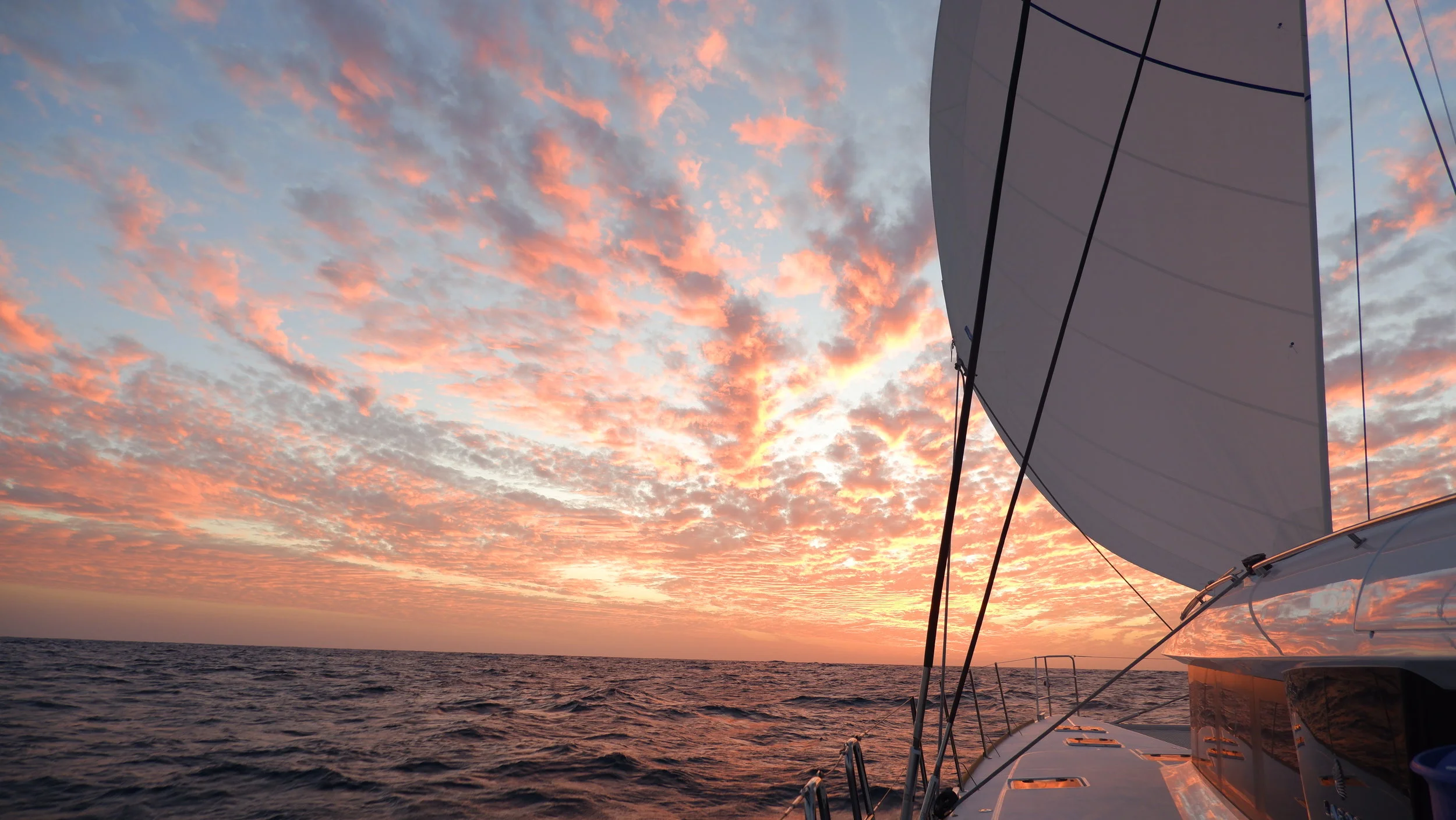 ⧋ Tala Transat | Part 3 &amp; Fin | La Transat