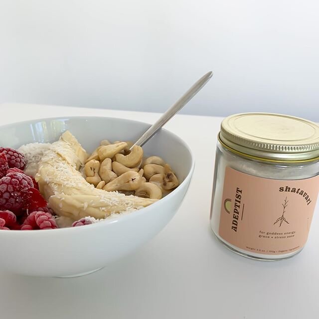 ⟡ rituals + adapt

le shatavari est une plante dont on broie la racine pour donner une poudre beige avec un go&ucirc;t l&eacute;ger. elle fait partie des joyaux de la m&eacute;decine ayurv&eacute;dique + elle sp&eacute;cialement d&eacute;di&eacute;e 