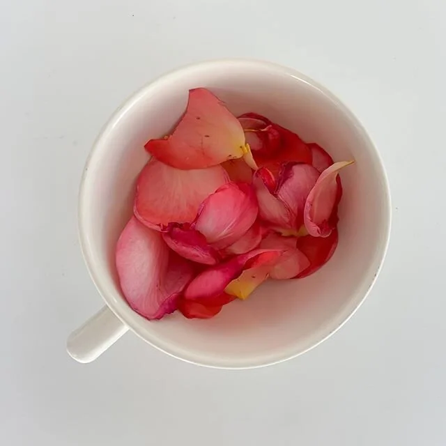 ⧊ healthy food for your sacred temple | breakie rosie

les p&eacute;tales de rose ont une odeur d&eacute;licate et gourmande. c&rsquo;est un d&eacute;lice de les utiliser en infusion ou directement en impro.

la rose est une plante aux mille vertus a