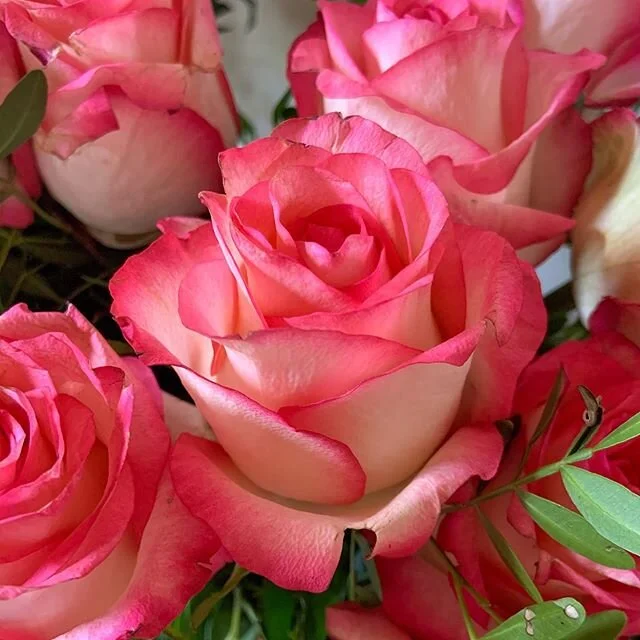 ⟡ rituals

write every evening about 3 things you are grateful for, it will sooth your dreams &amp; create a long term positive mindset ⟡

#rituals #gratitude #fromlove #selfcare #reconnect #love #positivemindset #freedom #integration