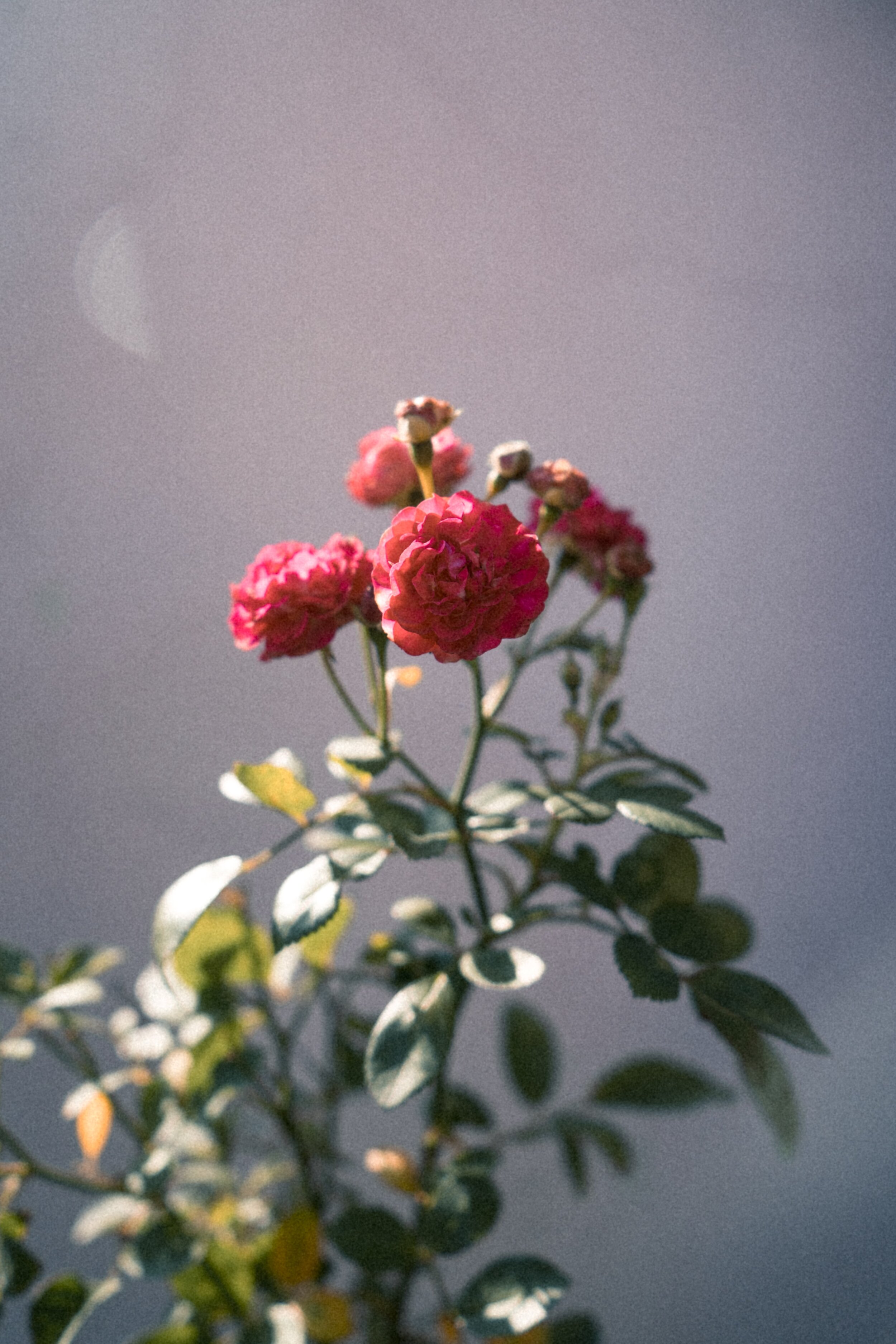 pratik-gupta-DOAlAvd8XX0-unsplash.jpg