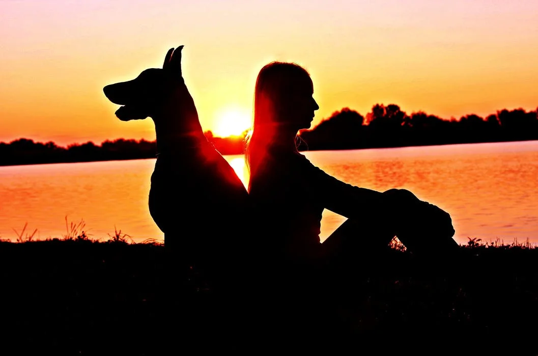 doglove .jpeg