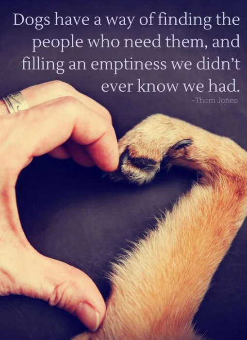 Dogs-have-a-way-of-finding-the-people-who-need-them-and-filling-an-emptiness-we-didnt-ever-know-we-had.jpg