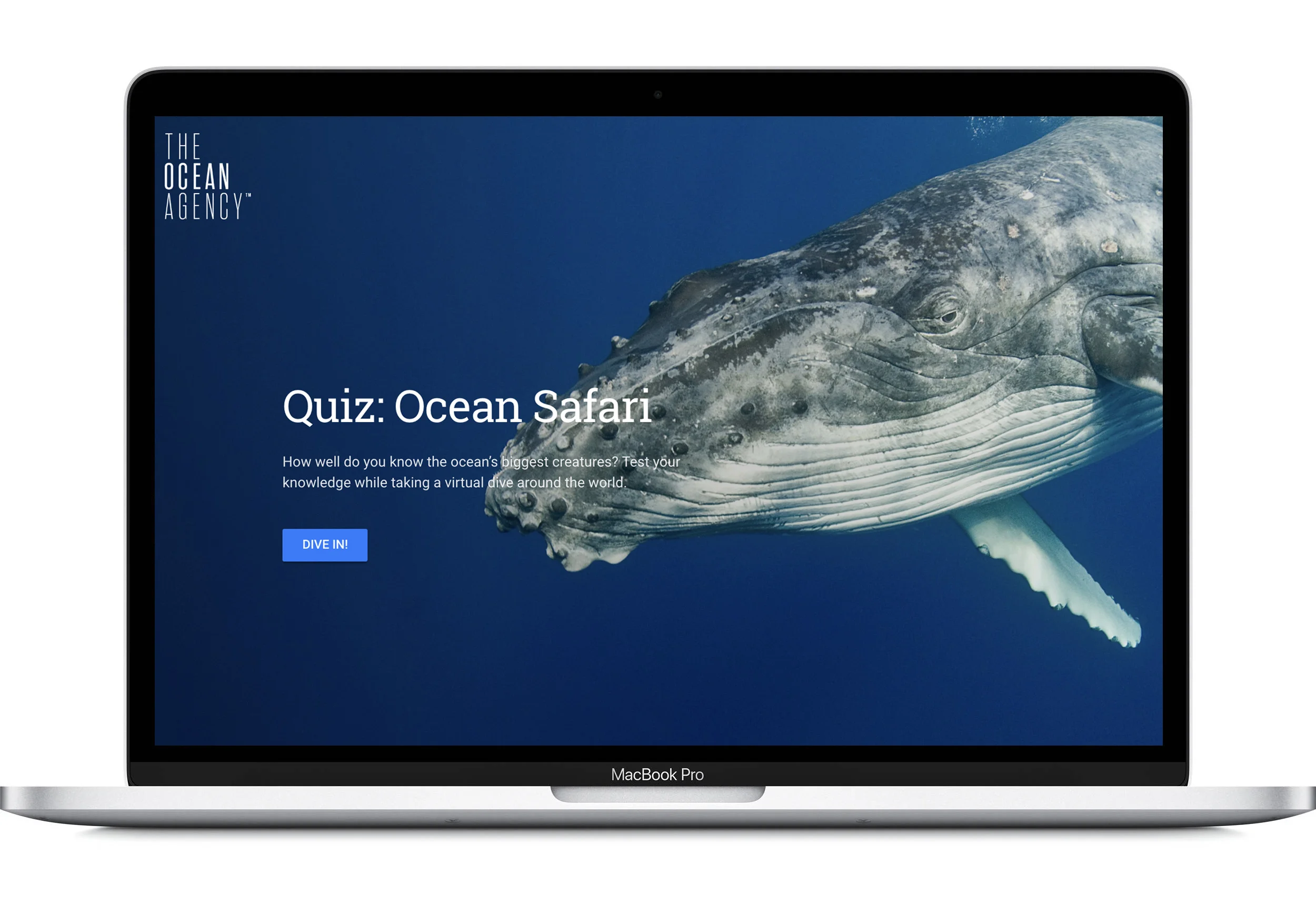 laptopw+background-whale.jpg