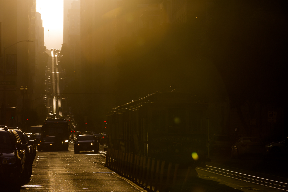 _86A5807.jpg