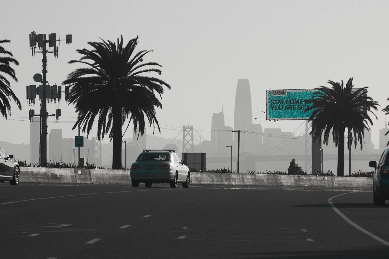 _86A0205.jpg