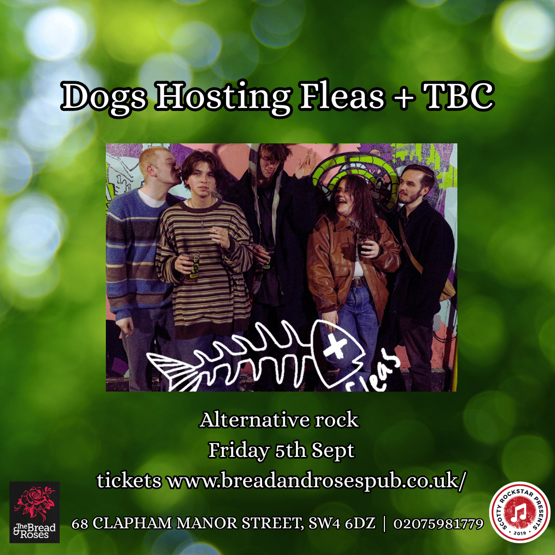 Live Music: Dogs Hosting Fleas