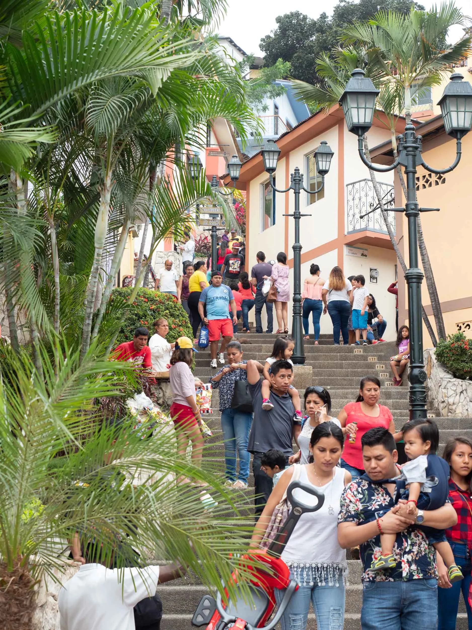 The oldest neighborhood in Guayaquil, Las Peñas, was a fascinating climb of 444 steps. I failed in every way in this picture to capture the experience of visiting that community. Click picture for a larger image.