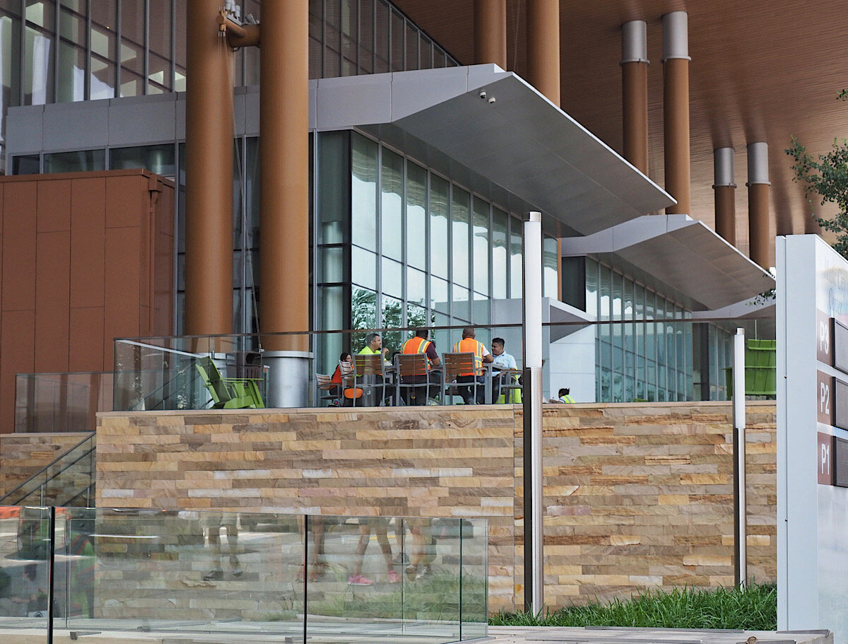 Nashville Legs 3 Gal.JPG