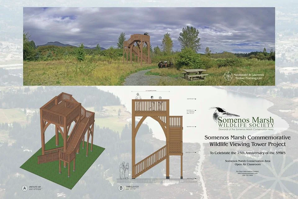 ViewingTowerPlans.jpg