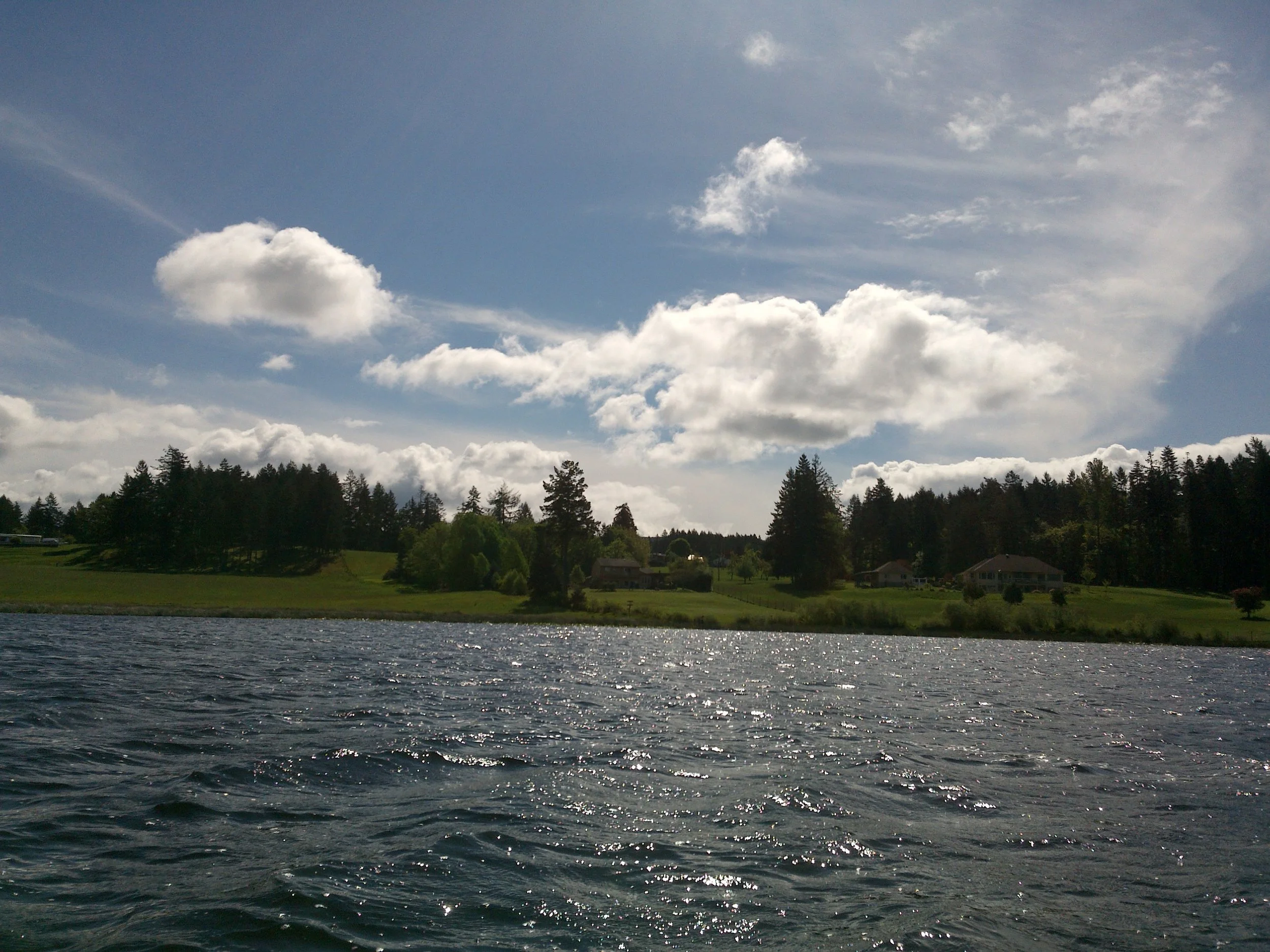 Somenos Lake with lakefront properties 2015 - Photo by Elizabeth Aitken