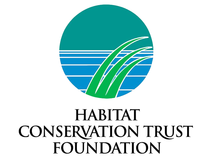 HCTF logo.png