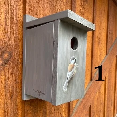 Our annual artist-painted nest box show and auction is live! This year we have 27 gorgeous nest boxes that have been contributed by many very talented and generous artists.

Today we're featuring three boxes: Robert Bateman (1) has painted an origina