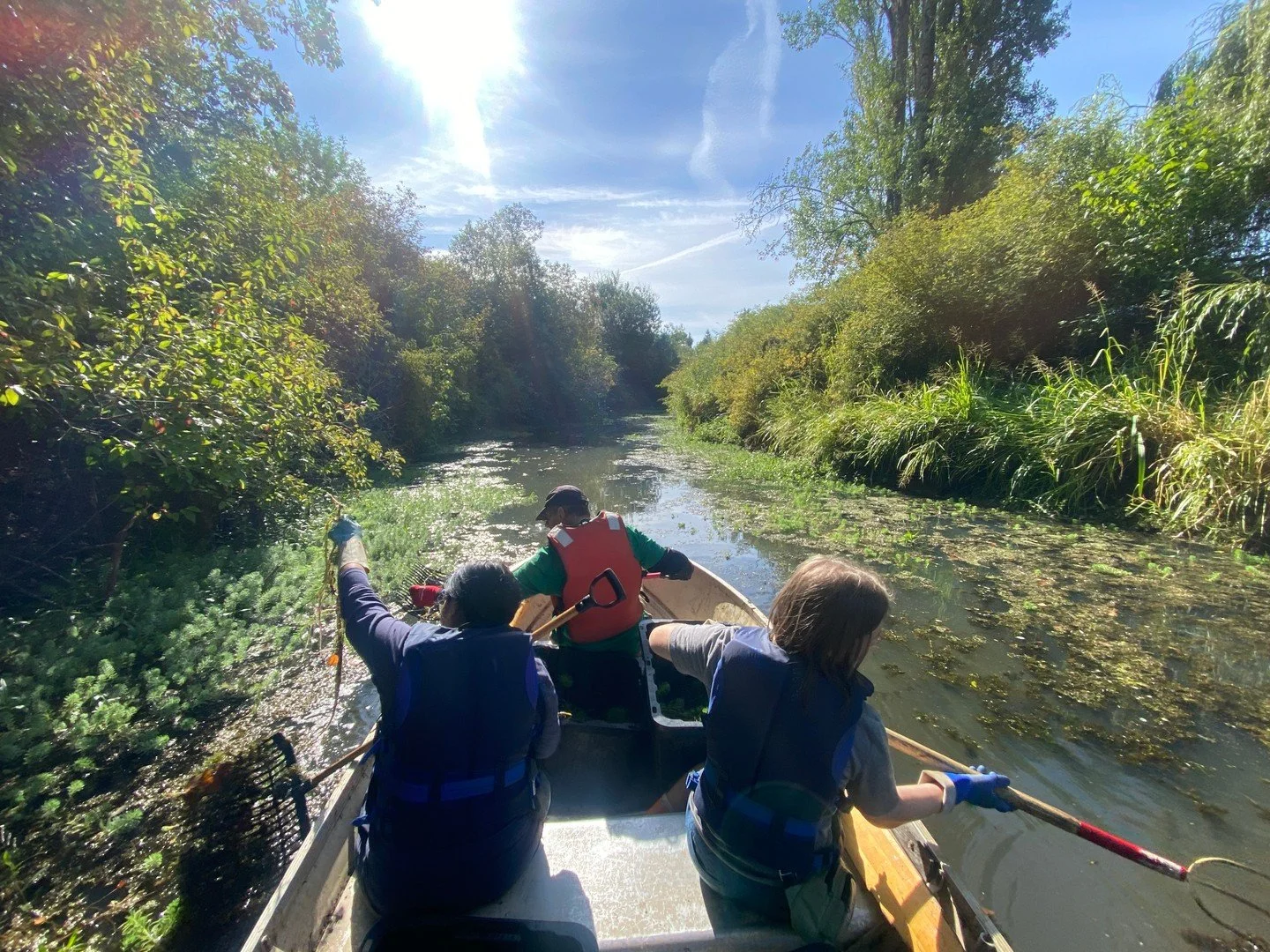 Volunteer Opportunities October

Click link below to Find out what is going on in the Marsh and Volunteer!

https://mailchi.mp/somenosmarsh/volunteer-opportunities-october2025