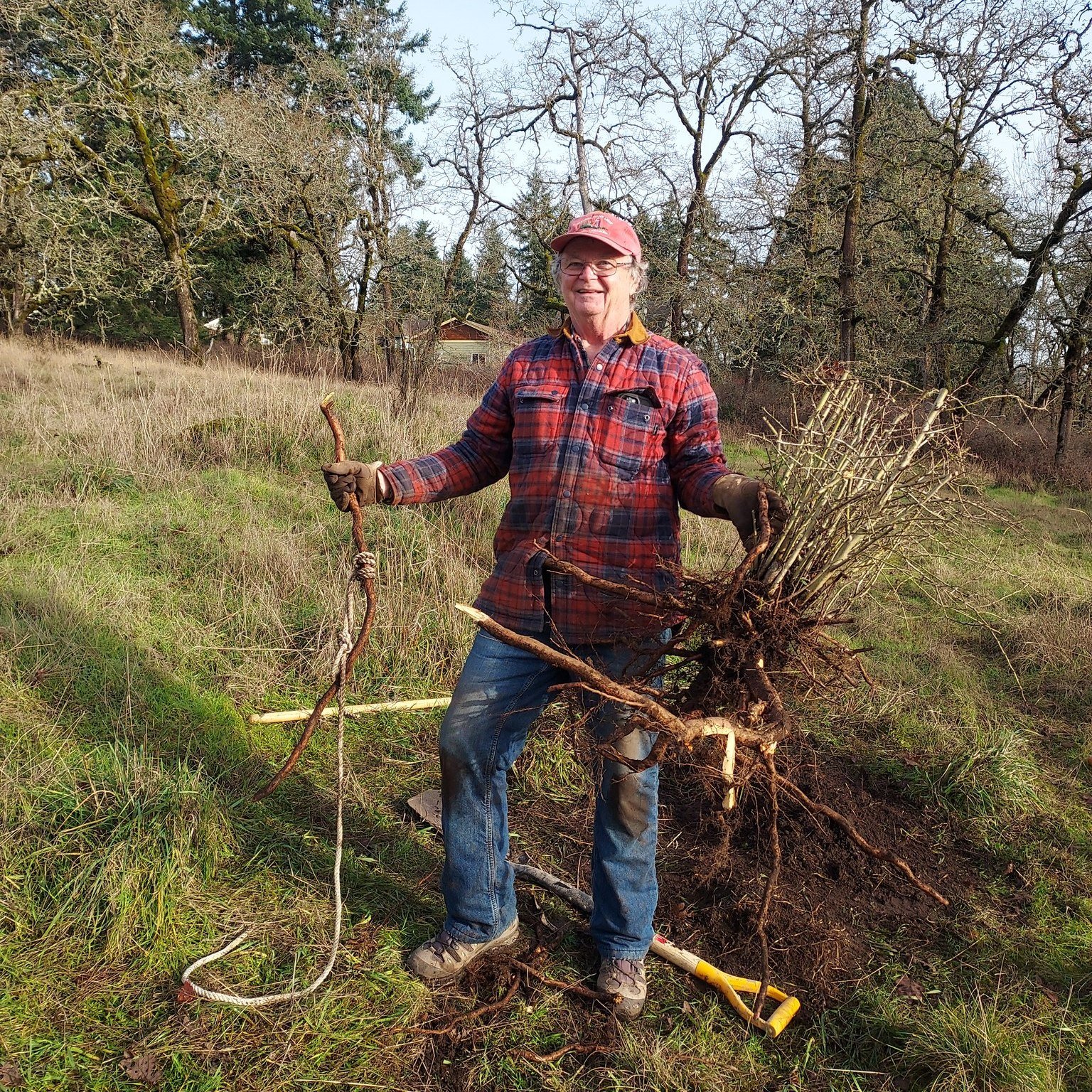 Another successful event week thanks to the enthusiasm of our volunteers!🙏👍

- 🌳Good job Ken 'the MacGyver' who jimmy-rigged a Jack to pull out huge invasive English Hawthorne from the Garry Oak Protected Area. These thorny trees aggressively spre