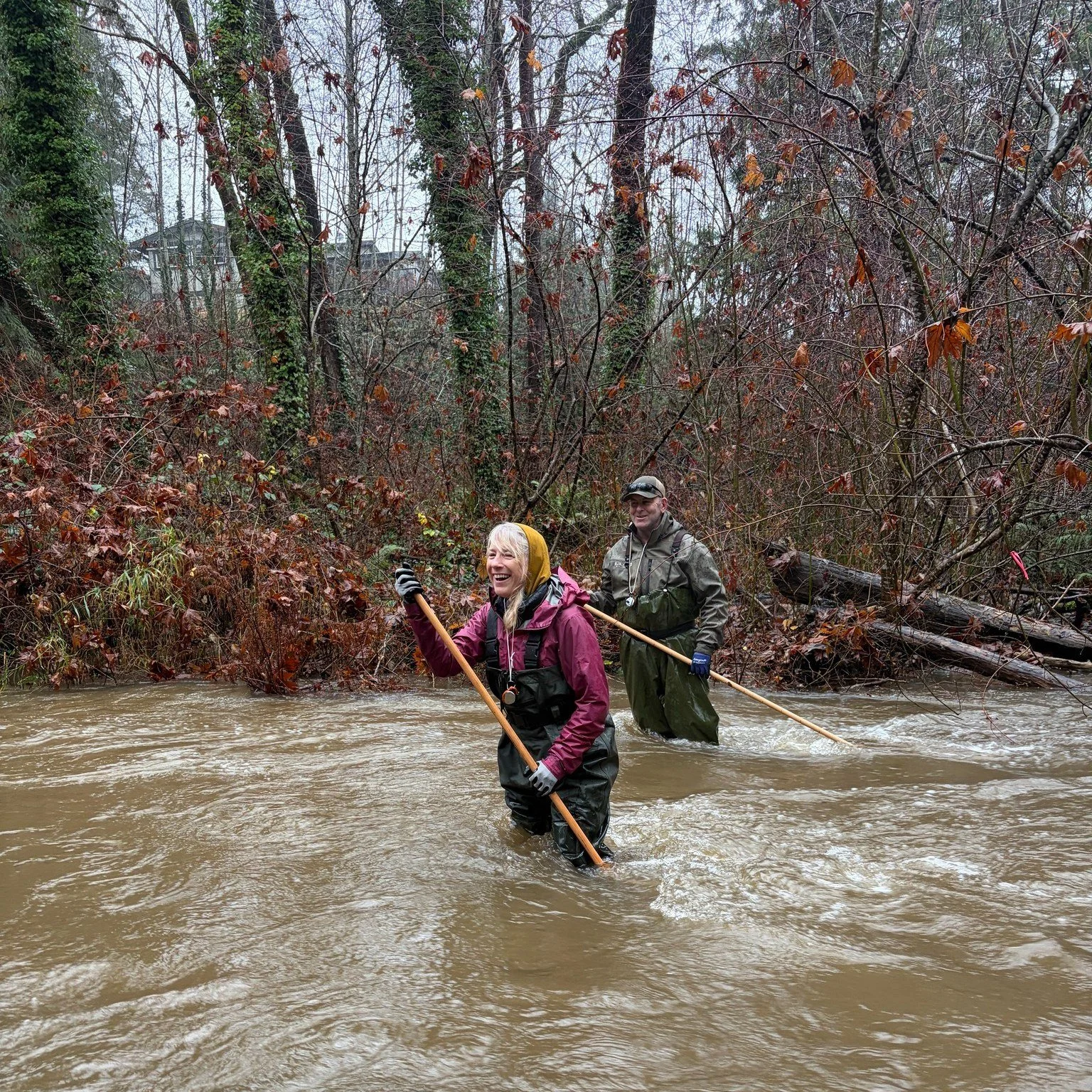 A few snapshots from the past few weeks in the S&rsquo;amunu watershed 
From volunteers spotting salmon and hauling out invasive ivy, to blackberry busting and tree planting along Menzies Creek, it&rsquo;s been a busy (and muddy!) season of stewardsh