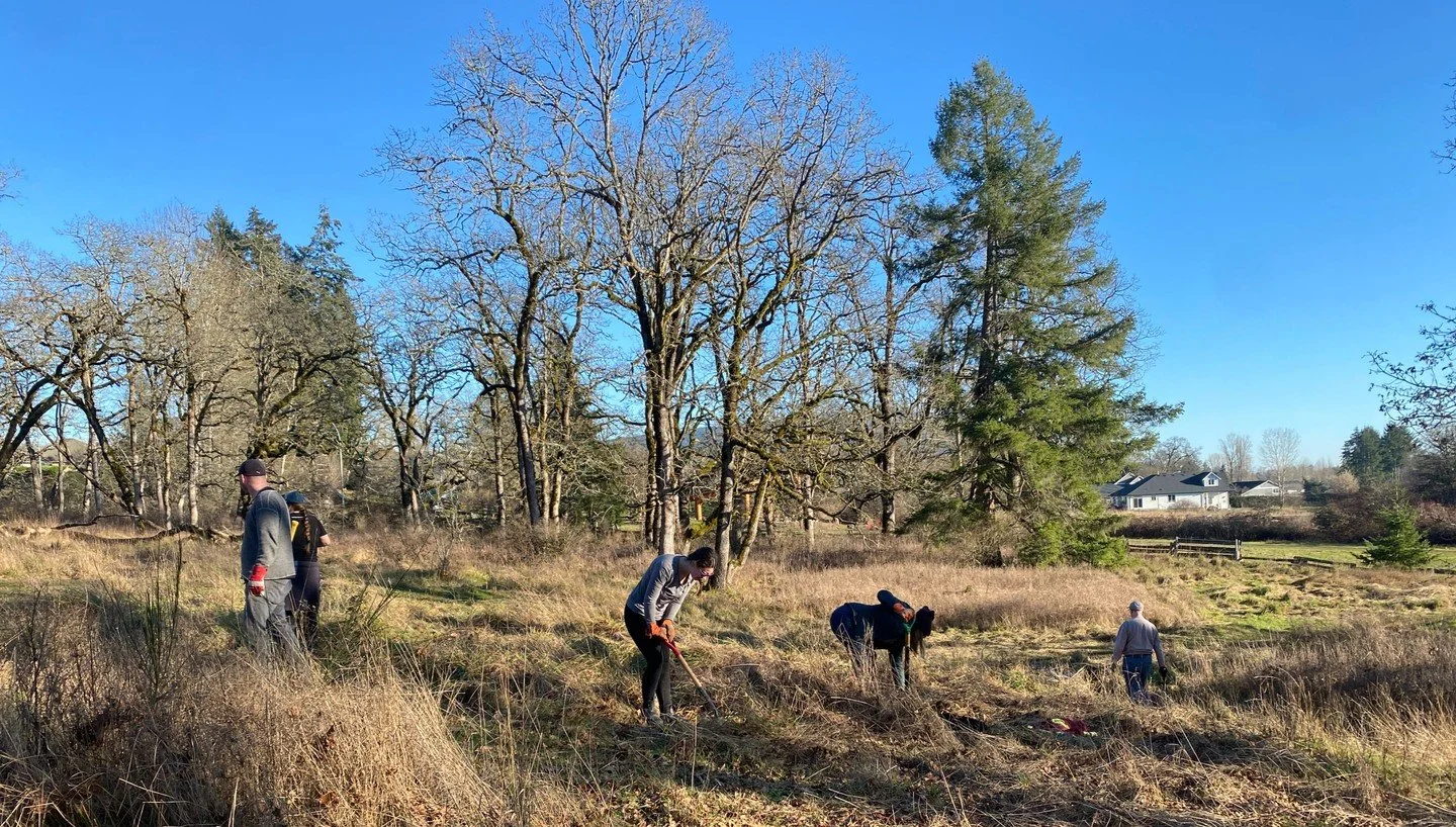 Volunteer with us this January
Find out more here👇🏻

https://mailchi.mp/somenosmarsh/volunteer-opportunities-jan2026