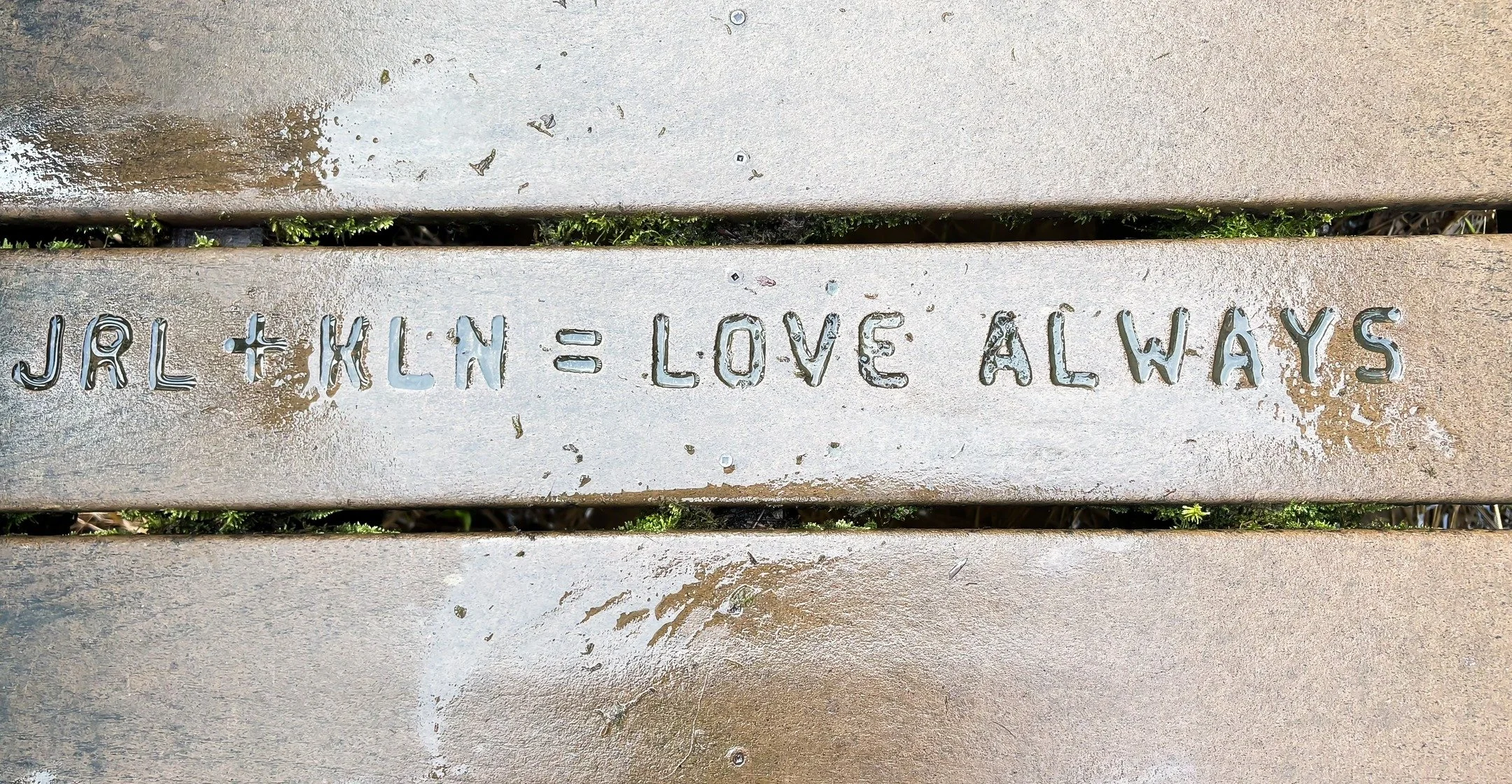 February is the month for love.
Purchase a board on our board walk at the Open Air Classroom
#lovesomenos#somenos#somenoslake#love#inmemory #family #furbabies #boardwalk