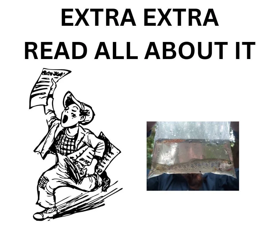 PLANS UNDERWAY TO REHABILITATE FISH-BEARING FIREHOUSE CREEK

The Somenos Marsh Wildlife Society is looking to take on another project to protect fish habitat in the region.  North Cowichan council agreed to provide a letter of support to the Real Est
