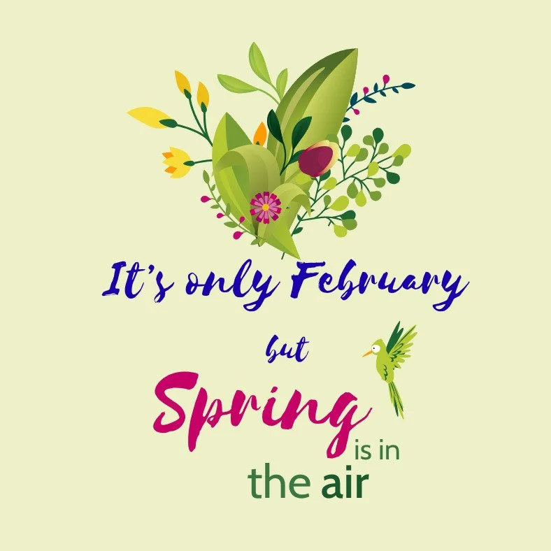 Spring is in the air.
#somenos #somenosmarsh #networksofnature #springhassprung #spring #marshes #marsh