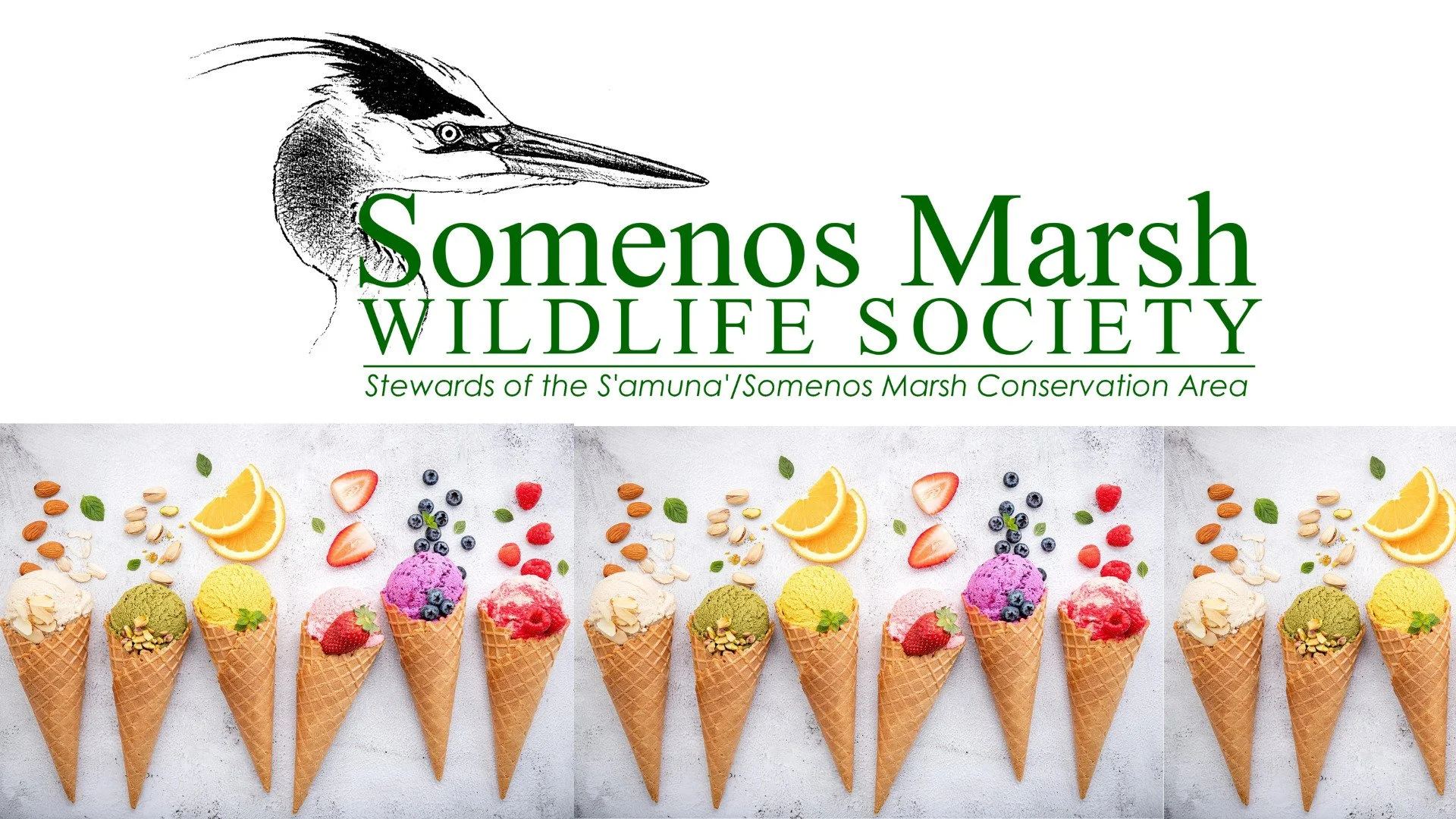 Did you know that Sweet Meadows Market just off the highway in Mill Bay, sells an ice cream named after Somenos Marsh?? How sweet is that!!!
The ingredients are simple: everything and anything.
Today's creation was: lime, chocolate, watermelon, salte
