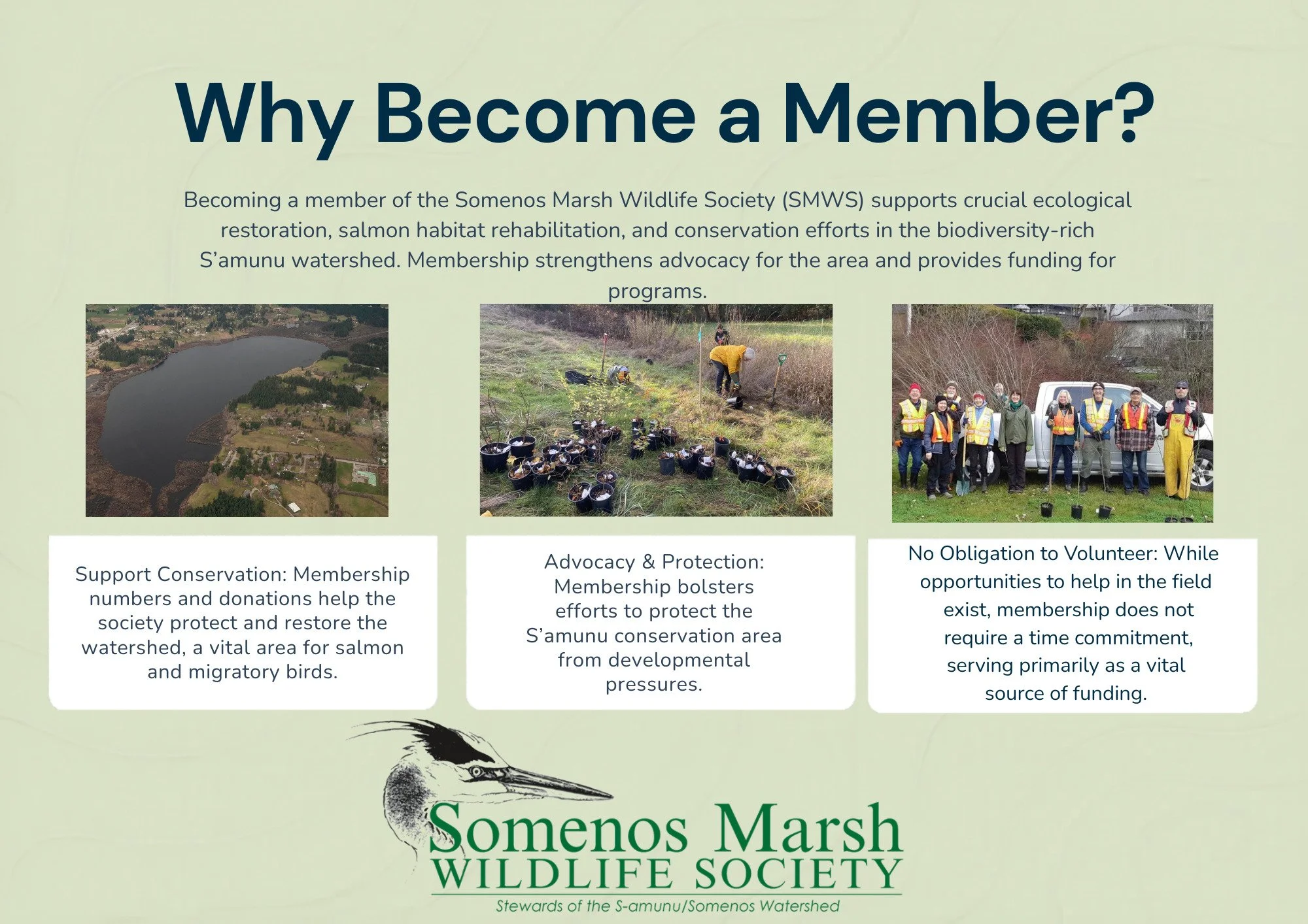 MARSH MADNESS MEMBERSHIP MOVEMENT
Email info@somenosmarsh.com for details
Or: register to become a member directly through our website Somenos Marsh Wildlife Society membership page.
#somenos#marsh#environment #watershed#protect#volunteer#ecological#