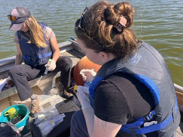Volunteer Opportunities for June and July in the Marsh!
come join us.
click here for details: https://mailchi.mp/somenosmarsh/volunteer-opportunities-june-july2026