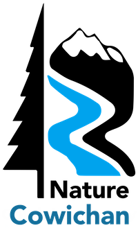 NC Logo - with name small.png