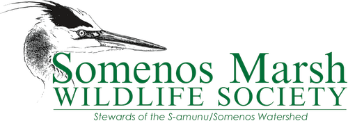 Somenos Marsh Wildlife Society