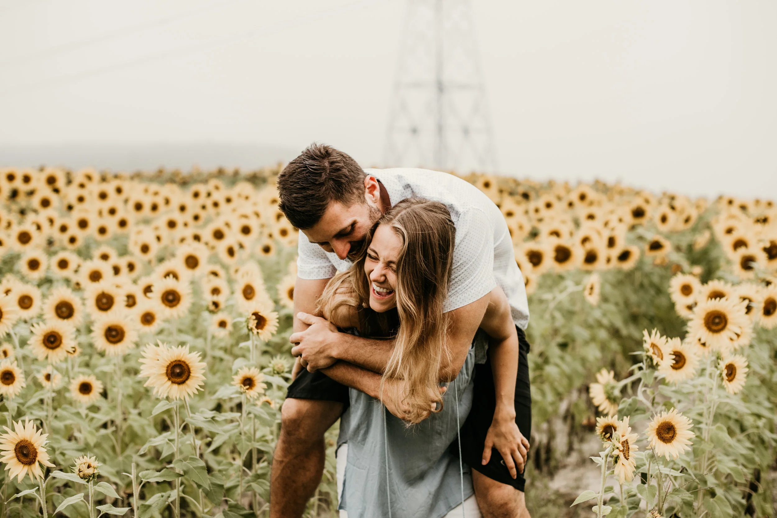 FIELDS OF GOLD