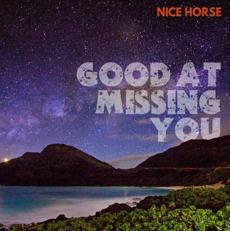 NICE HORSE - Good At Missing You