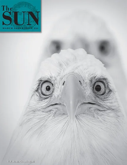the sun magazine cover.jpg