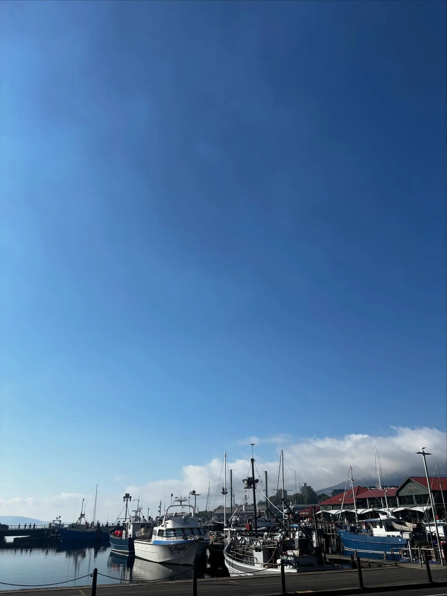 Good morning, Hobart!

Small detour en-route to the pool ☀️