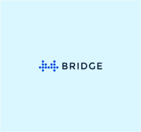 Bridge+logo.jpg