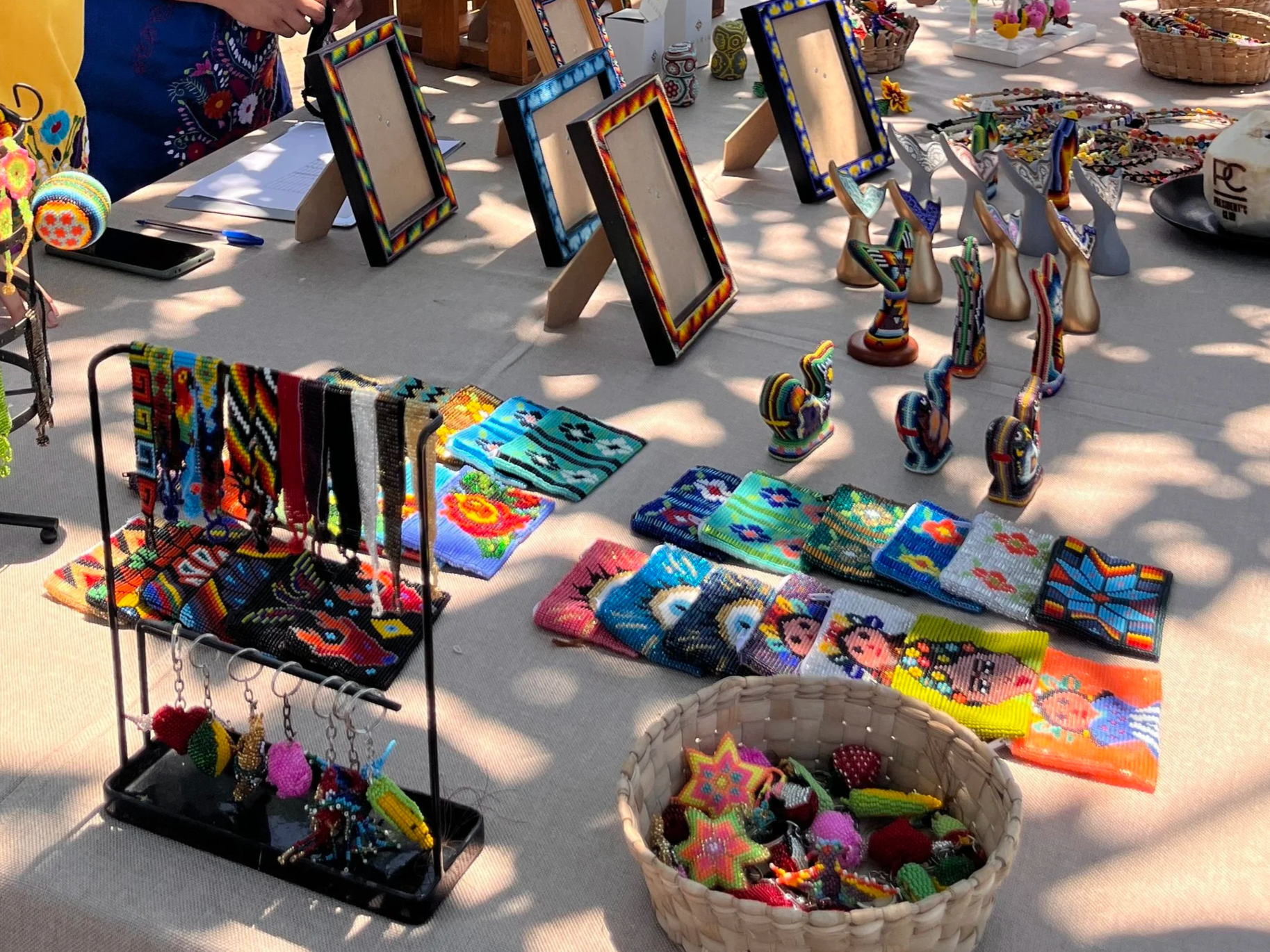 A Mexican Market for Boston Scientific at Four Seasons Punta Mita