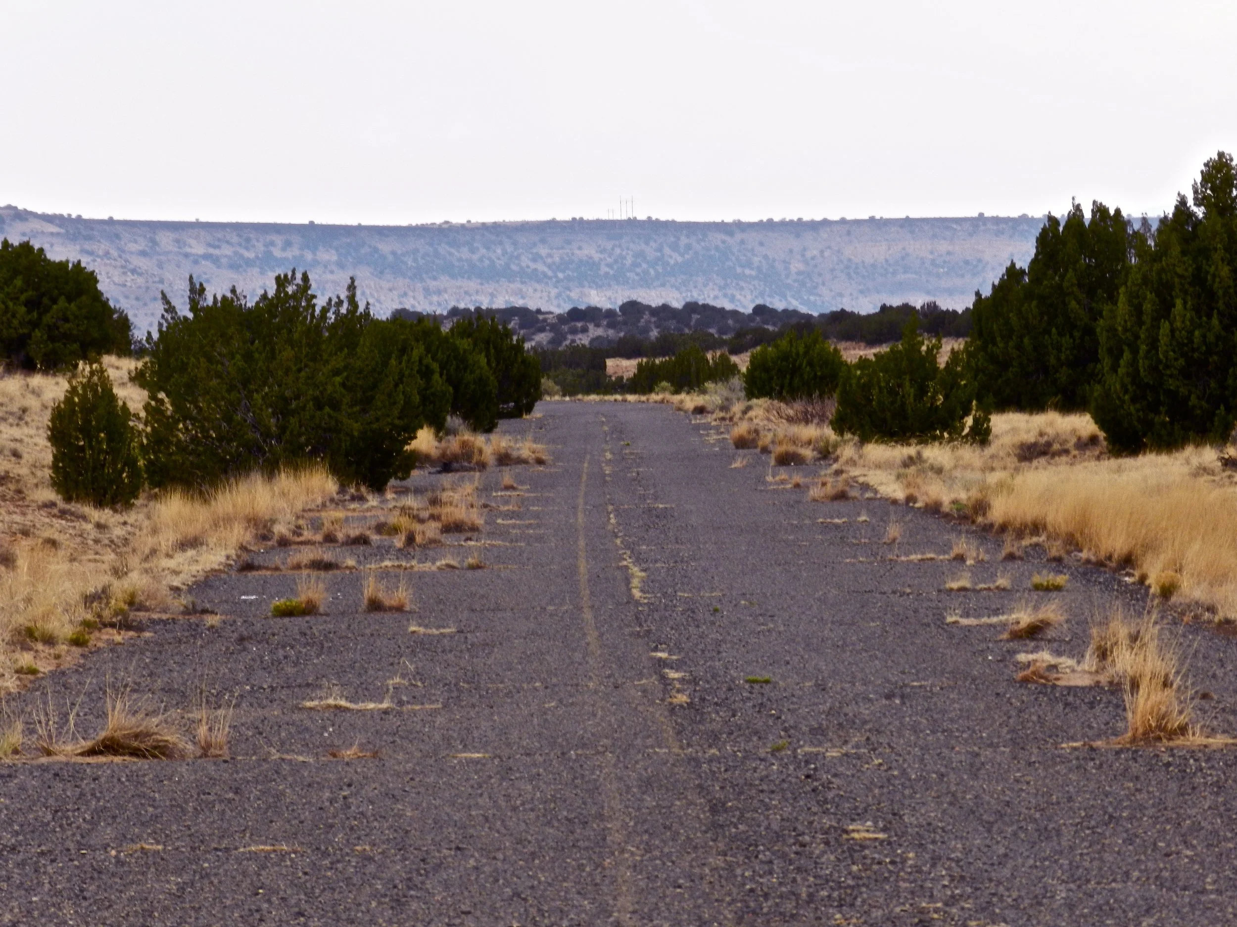 DSCN0529.jpg