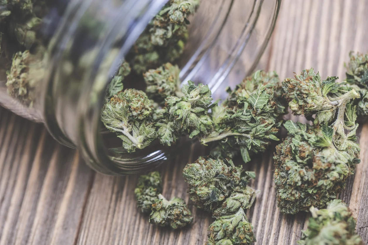 Cannabis Business Marketing: Why 'Inbound' is the Winning Strain