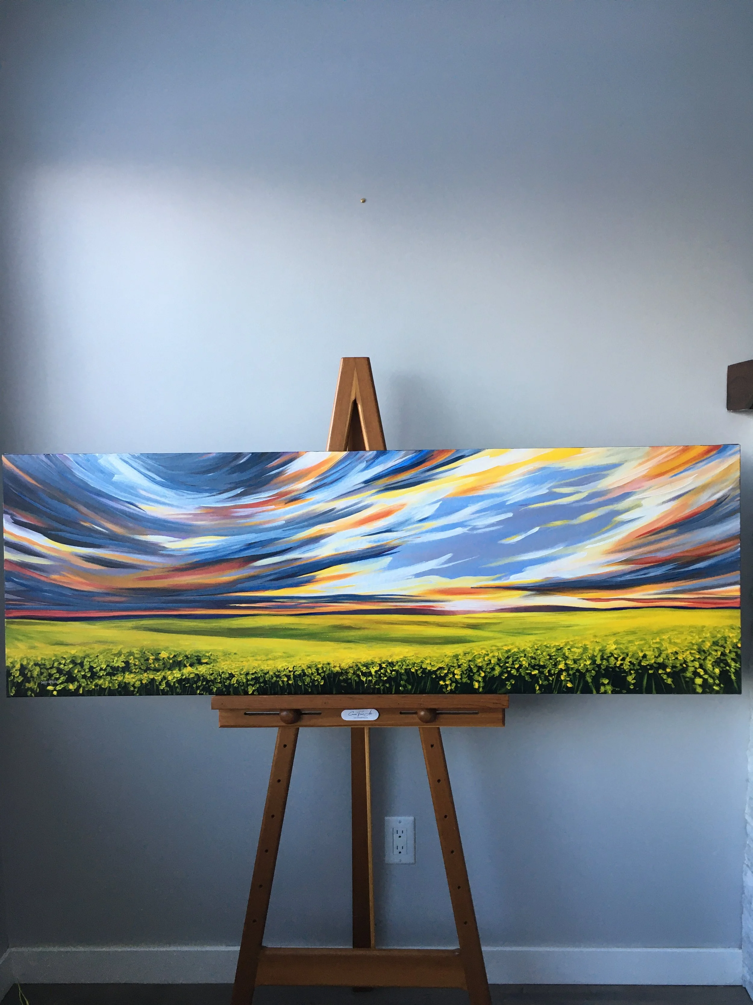 Joy  |  20" x 60"